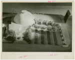 Distilled Spirits - Building - Model