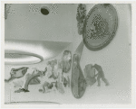 DuPont - Mural - Work by Dominico Mortellito