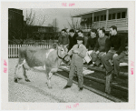 Electric Utilities - Electrified Farm - Men and cow in front of house