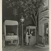 Electric Utilities - Woman on Street of 1892