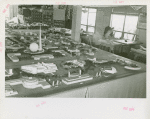 Fairgrounds - Architectural Models - Site