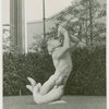 Fairgrounds - Fountains - Dolphin