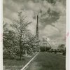 Fairgrounds - Landscaping - Blossoming tree in front of Trylon and Perisphere construction