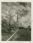 Fairgrounds - Landscaping - Blossoming tree in front of Trylon and Perisphere construction