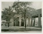 Fairgrounds - Landscaping - Blossoming trees and flowers