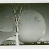 Fairgrounds - Landscaping - Lit tree in front of Perisphere