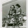 Fairgrounds - Landscaping - Women with plants on balcony of Electrified Farmhouse