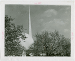 Fairgrounds - Landscaping - Trees in front of Trylon and Perisphere