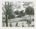 Fairgrounds - Landscaping - City Hall Square