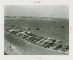 Fairgrounds - Parking and Transportation - Parking field with cars