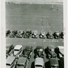 Fairgrounds - Parking and Transportation - Parking field with cars