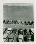 Fairgrounds - Parking and Transportation - Parking field with cars