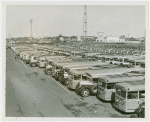Fairgrounds - Parking and Transportation - Buses in parking field