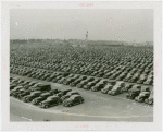 Fairgrounds - Parking and Transportation - Cars in parking field