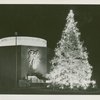 Fairgrounds - Christmas tree at night in front of Administration Building