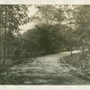 Fairgrounds - Park - Road with worker