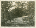 Fairgrounds - Park - Road with worker