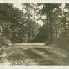 Fairgrounds - Park - Road leading to building