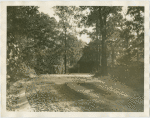 Fairgrounds - Park - Road leading to building