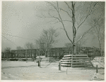 Fairgrounds - Snow - Trees with view of New York City Building under construction