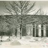 Fairgrounds - Snow - Trees in court of Medicine and Public Health Building