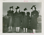 Fairgrounds - Visitors - Group