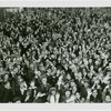 Fairgrounds - Visitors - Crowd