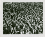 Fairgrounds - Visitors - Crowd