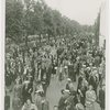 Fairgrounds - Visitors - Crowd in Constitution Mall