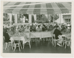 Fashion, World of - Luncheon