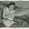 Firestone - Woman feeding hippopotamus at Firestone Zoo