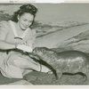 Firestone - Woman feeding hippopotamus at Firestone Zoo