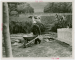 Firestone - Building - Farm - Man pushing wheelbarrow