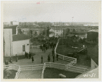 Firestone - Building - Farm - Crowd walking through farm