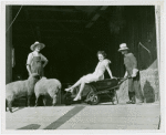 Firestone - Building - Farm - Man pushing woman in wheelbarrow and man with sheep