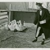Firestone - Building - Farm - Woman feeding ducks