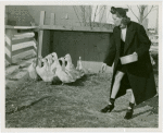 Firestone - Building - Farm - Woman feeding ducks