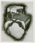 Firestone - Building - Murals - Cotton (Daniel Boza)