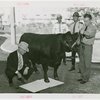 Firestone - Mercer the Bull - Signing guestbook with hoof print