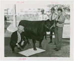 Firestone - Mercer the Bull - Signing guestbook with hoof print