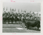 Firestone - Mercer the Bull - With Grover Whalen and mounted guard