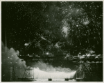 Fireworks - Liberty Lake display