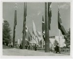 Flags - State flags
