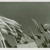 Flags - State flags