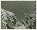 Flags - State flags