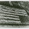 Flags - Human flag on Opening Day