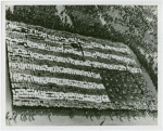 Flags - Human flag on Opening Day