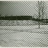 Flags - In field of snow through fence