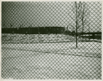 Flags - In field of snow through fence