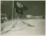 Flags - In snow